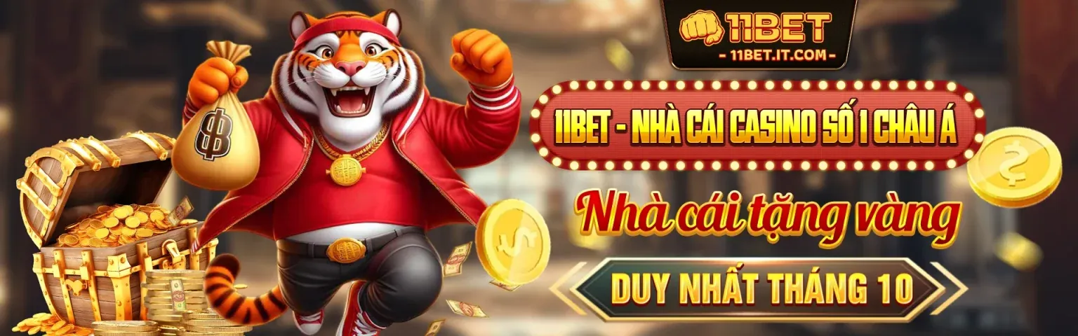 Hình ảnh giới thiệu tổng quan về provip88